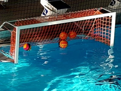 Spitzenwasserball in Magdeburg; Waspo Hannover gastiert in DSV Supercup und Champions League im WUM-Wohnzimmern